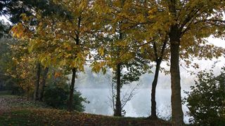 Lago Boschetto 26 - 29 octombrie 2015